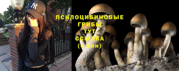 гидропоника Алексин