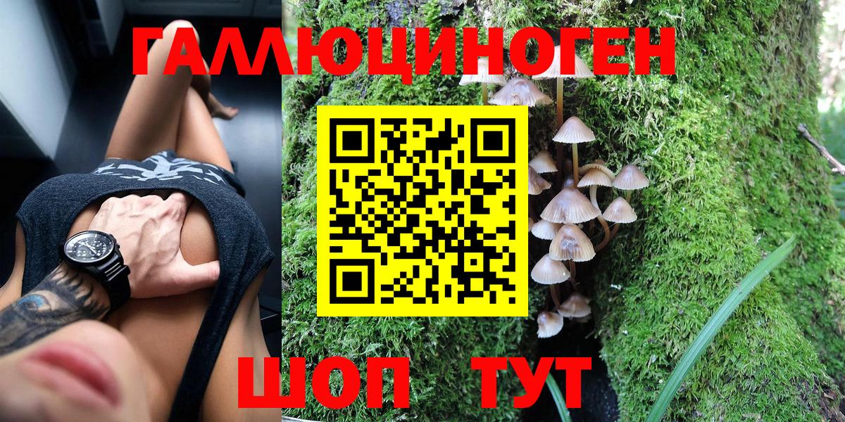 Галлюциногенные грибы мухоморы Владимир